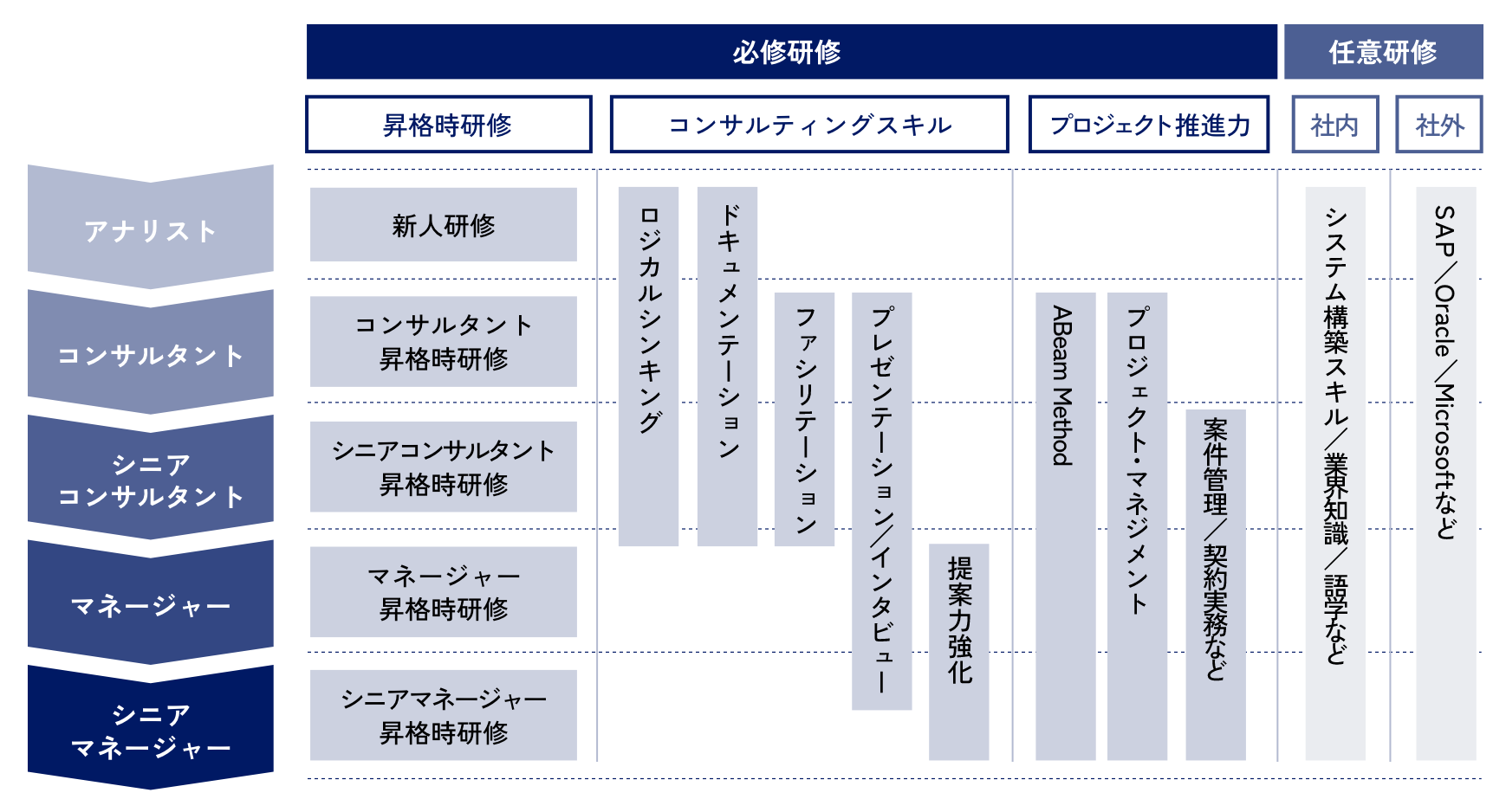 アビームコンサルティングの研修は、キャリアステージに応じて基礎から応用までの知識／スキルを、必要なタイミングで受講できるよう設計しています。プロジェクトで培ってきたノウハウが詰まった、実践的で即効性の高いプログラムです。